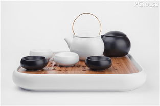 程雄 實用是賦予東方美學生命力的關鍵，以家用電器為例
