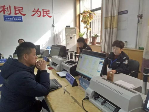 便民利企新舉措 石家莊交管服務窗口實行6天工作制，北京信息技術咨詢服務同步升級